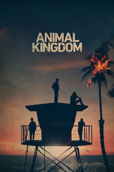 animal-kingdom